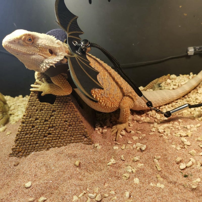 WeimoMonkey Bearded Dragon Leash and Lizard Harness Adjustable (S,M,L,3 Size) Leather Wing Lizard Iguanas Leash Geckos Reptile for Amphibians Small Pet Animals Silver - Image 4